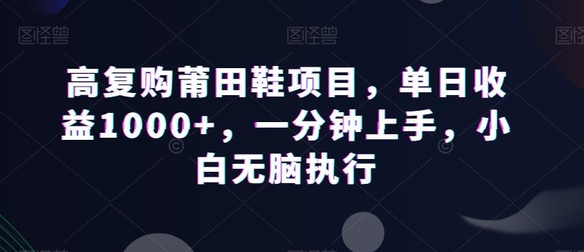 高复购莆田鞋项目,单日收益1000+,一分钟上手,小白无脑执行-吾爱云课堂