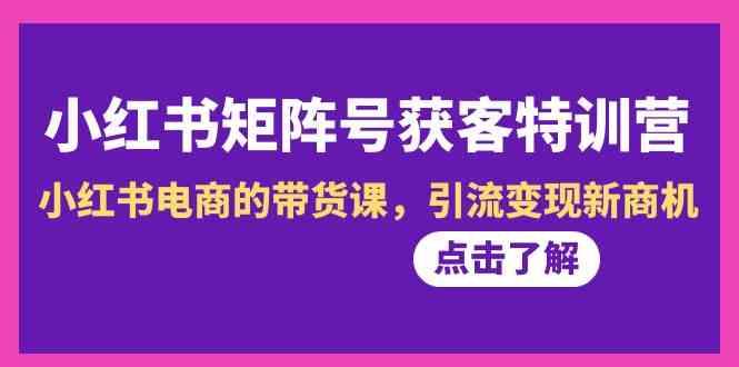 小红书矩阵号获客特训营-第10期,小红书电商的带货课,引流变现新商机-吾爱云课堂