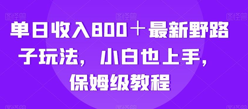 单日收入800+最新野路子玩法,小白也上手,保姆级教程-吾爱云课堂