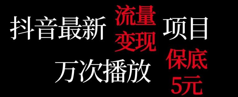 抖音流量变现,万次播放保底5元,额外收入-吾爱云课堂