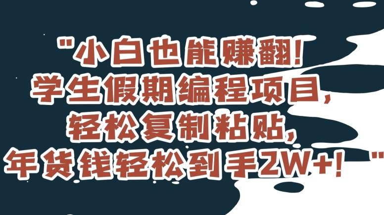 小白也能赚翻!学生假期编程项目,轻松复制粘贴,年货钱轻松到手2W+【揭秘】-吾爱云课堂