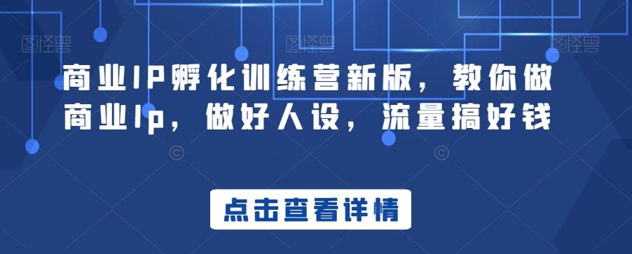 商业IP孵化训练营新版,教你做商业Ip,做好人设,流量搞好钱-吾爱云课堂