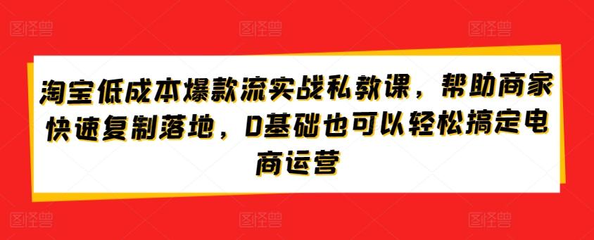淘宝低成本爆款流实战私教课,帮助商家快速复制落地,0基础也可以轻松搞定电商运营-吾爱云课堂