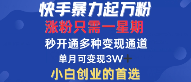 快手暴力起万粉,涨粉只需一星期,多种变现模式,直接秒开万合,单月变现过W【揭秘】-吾爱云课堂