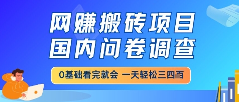 网创搬砖项目，国内问卷调查，小白轻松上手，一天三四张的也不难，干就完了【揭秘】-吾爱云课堂