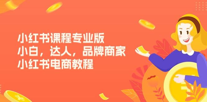 小红书课程专业版,小白,达人,品牌商家,小红书电商教程(15节-吾爱云课堂