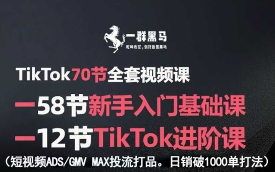 TikTok全套视频课,新手入门+进阶课,短视频ADS-GMV MAX投流打品,日销破1000单打法-吾爱云课堂
