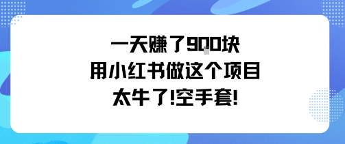 一天挣了9张用小红书做这个项目太牛了,空手套-吾爱云课堂