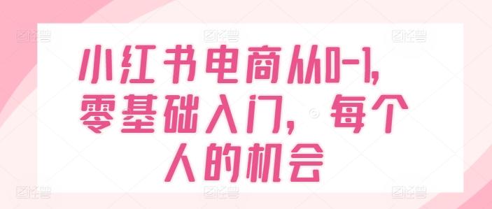 小红书电商从0-1，零基础入门，每个人的机会-吾爱云课堂