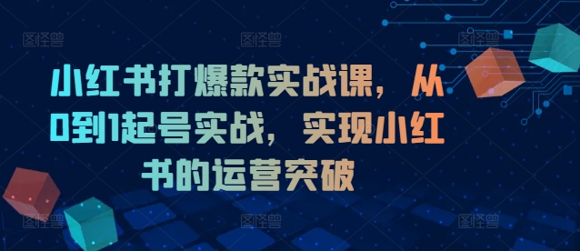 小红书打爆款实战课,从0到1起号实战,实现小红书的运营突破-吾爱云课堂