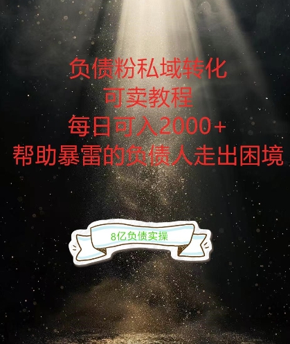 负债粉掘金计划,帮助负债者解决问题,债务规划,债务重组,最好的变现方式【揭秘】-吾爱云课堂