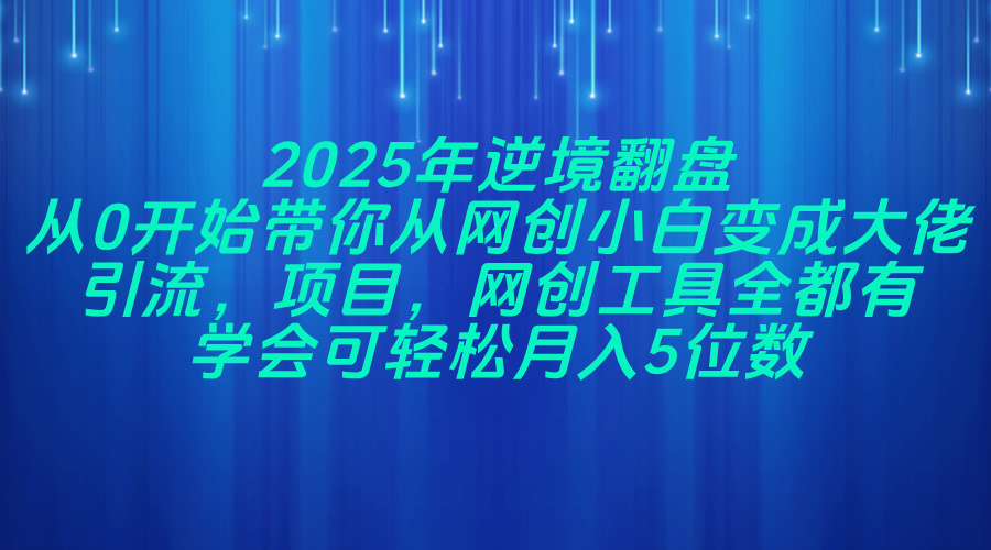 2025年逆境翻盘,从0开始带你从网创小白变成大佬,引流,项目,网创工...-吾爱云课堂