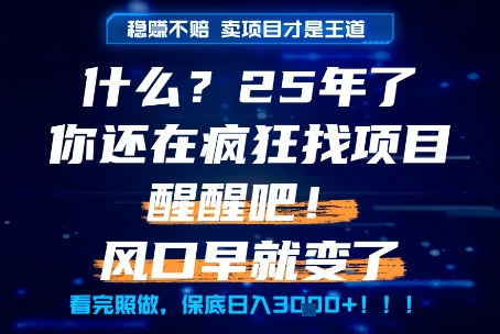 什么?25年你还在疯狂找项目做,醒醒吧,看完这些你全都懂了!【揭秘】-吾爱云课堂