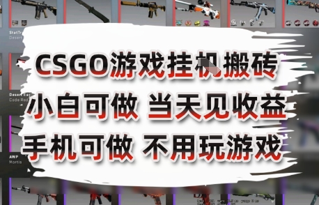 CSGO游戏挂G搬砖,小白纯手机即可操作,不用电脑打游戏,日入3张+,副业网创项目【揭秘】-吾爱云课堂