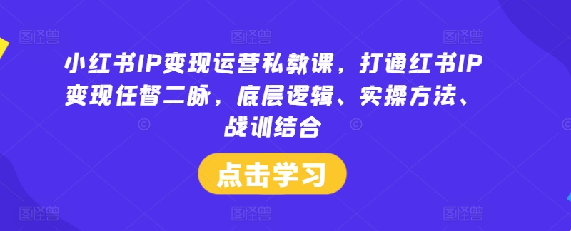 小红书IP变现运营私教课,打通红书IP变现任督二脉,底层逻辑、实操方法、战训结合-吾爱云课堂