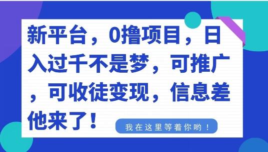 不要再花冤枉钱了,0撸项目,每天坚持,稳定1000+-吾爱云课堂