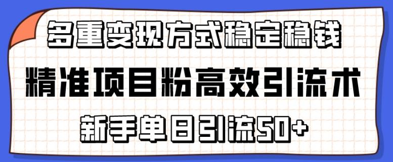 精准项目粉高效引流术,新手单日引流50+,多重变现方式稳定赚钱【揭秘】-吾爱云课堂