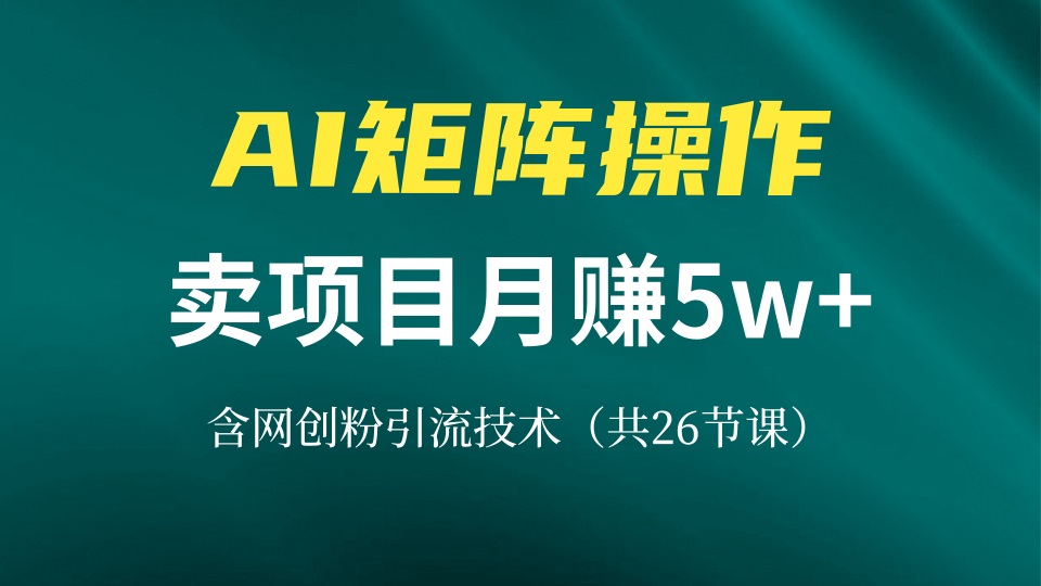 网创IP打造课,借助AI卖项目月赚5万+,含引流技术(共26节课-吾爱云课堂