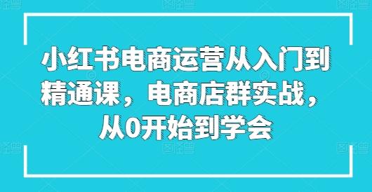 小红书电商运营从入门到精通课,电商店群实战,从0开始到学会-吾爱云课堂