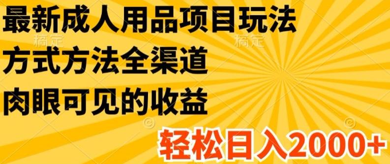 最新成人用品项目玩法,方式方法全渠道,轻松日入2K+【揭秘】-吾爱云课堂