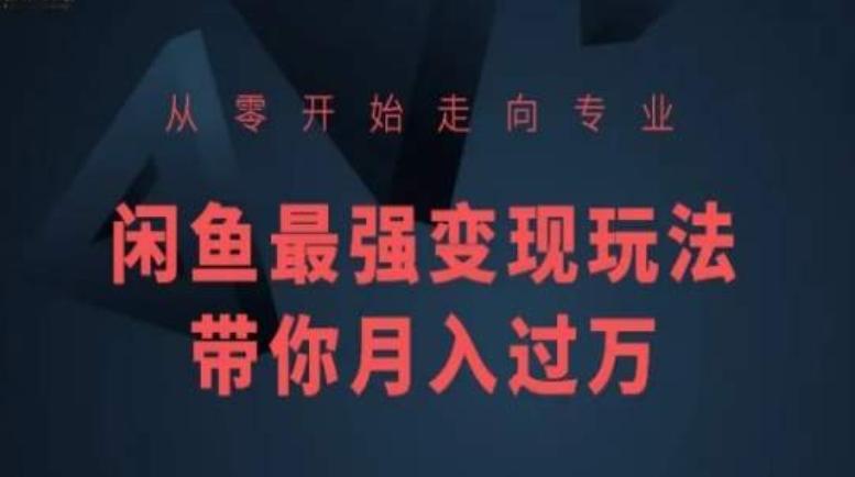 从零开始走向专业,闲鱼最强变现玩法带你月入过万-吾爱云课堂