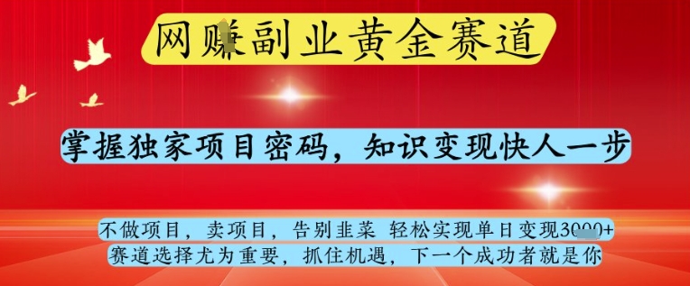 网创副业黄全赛道，掌握独家项目密码，知识变现快人一步，告别韭菜轻松实现单日变现1k+【揭秘】-吾爱云课堂