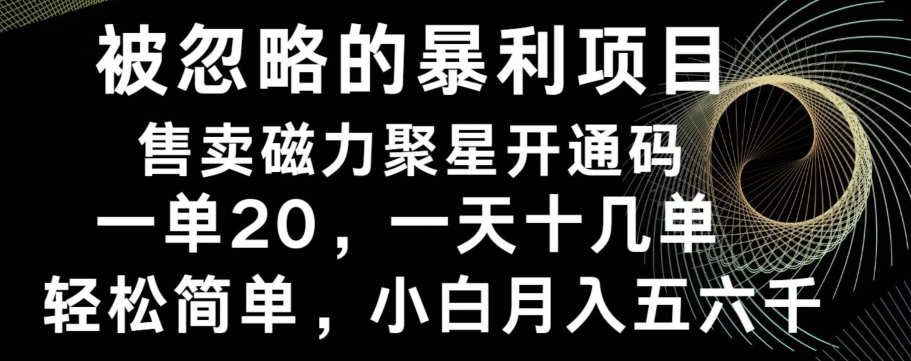 被忽略的暴利项目！售卖磁力聚星开通码，一单20，一天十几单，轻松月入五六千-吾爱云课堂