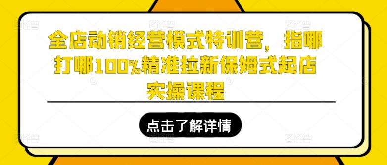 全店动销经营模式特训营，指哪打哪100%精准拉新保姆式起店实操课程-吾爱云课堂