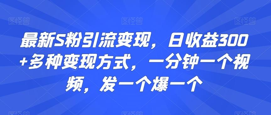 最新S粉引流变现,日收益300+多种变现方式,一分钟一个视频,发一个爆一个【揭秘】-吾爱云课堂
