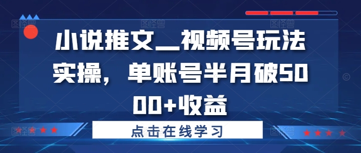 小说推文—视频号玩法实操,单账号半月破5000+收益-吾爱云课堂