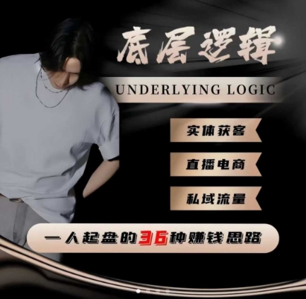 一个人起盘的底层逻辑,私域流量-直播电商-实体获客,一人起盘的36种賺钱思路-吾爱云课堂