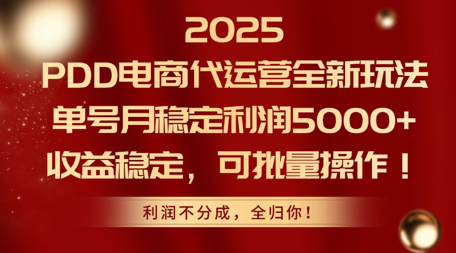 2025PDD电商代运营全新玩法,单号月稳定利润5000+,收益稳定,可批量操作-吾爱云课堂