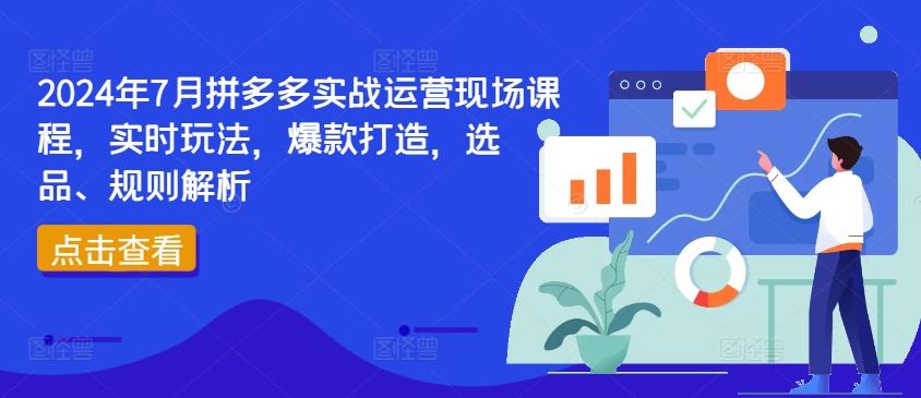 2024年7月拼多多实战运营现场课程,实时玩法,爆款打造,选品、规则解析-吾爱云课堂