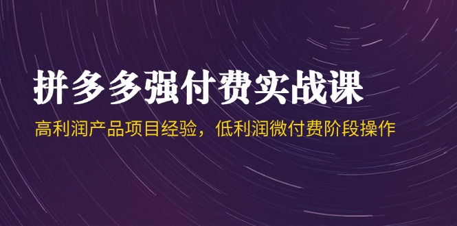 拼多多强付费实战课-44期,高利润产品项目经验,低利润微付费阶段操作-吾爱云课堂