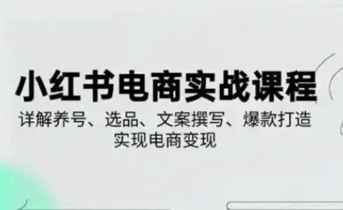 小红书从0-1实操课(2023-2025),详解养号、选品、文案撰写、爆款打造实现电商变现-吾爱云课堂