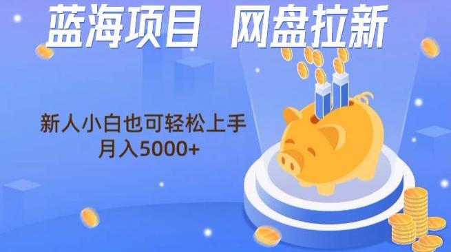 蓝海项目网盘拉新,新人小白也可操作,每月收入5000+-吾爱云课堂