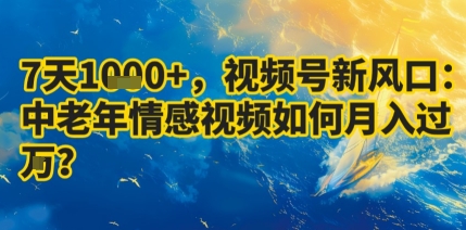 7天收益1k+,视频号新风口:中老年情感视频如何月入过W?-吾爱云课堂