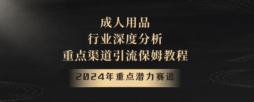 2024年重点潜力赛道,成人用品行业深度分析,重点渠道引流保姆教程【揭秘】-吾爱云课堂