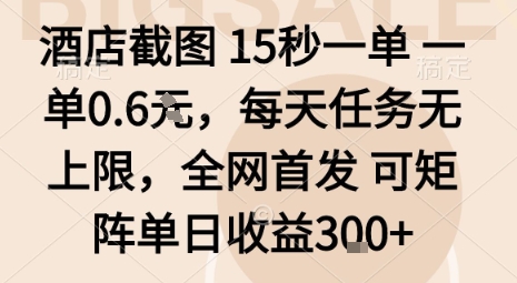 酒店截图15秒一单，一单0.6米，每天任务无上限，全网首发可矩阵单日收益3张【揭秘】-吾爱云课堂