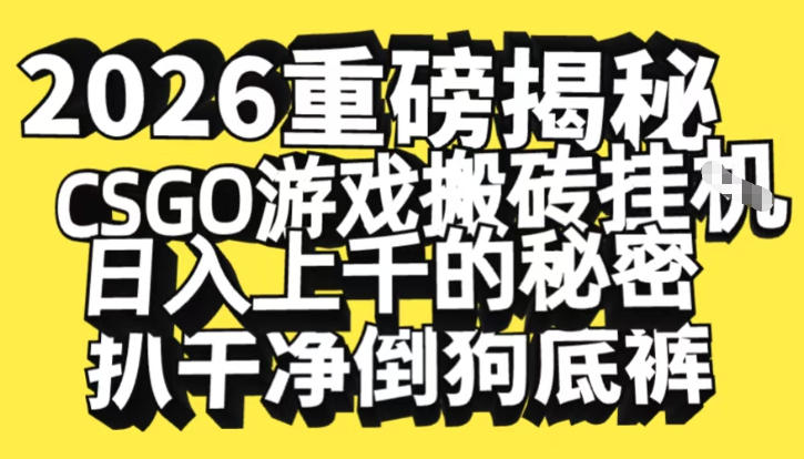 2026开年重磅解密，CSGO游戏搬砖挂G日入1k+的秘密，把倒狗的底裤扒干【揭秘】-吾爱云课堂