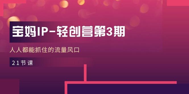 宝妈IP-轻创营第3期,人人都能抓住的流量风口(21节课-吾爱云课堂