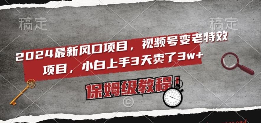 2024最新风口项目,视频号变老特效项目,电脑小白上手3天卖了3w+,保姆级教程【揭秘】-吾爱云课堂