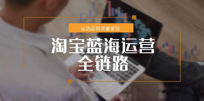 淘宝蓝海运营全链路,从选品到流量变现,小类目突围完整方案-吾爱云课堂