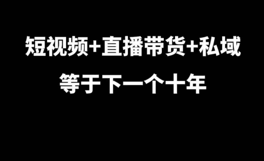 短视频+直播带货+私域等于下一个十年,大佬7年实战经验总结-吾爱云课堂
