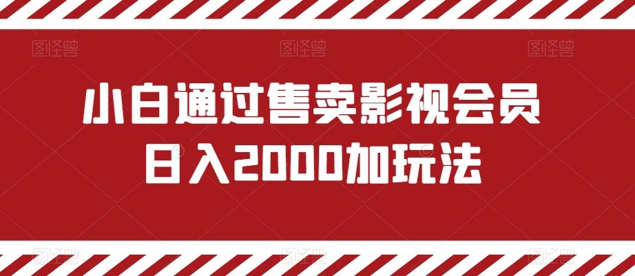 小白通过售卖影视会员日入2000加玩法-吾爱云课堂