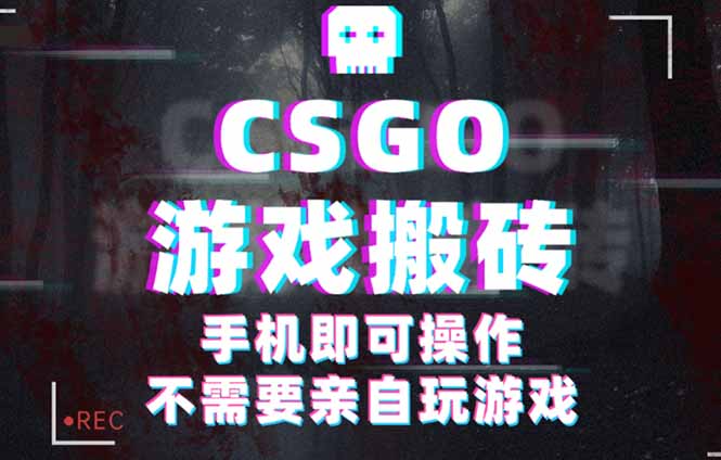 CSGO游戏挂机捡漏,单日扫货500+,年底小高峰上车可吃肉,手机即可操作...-吾爱云课堂
