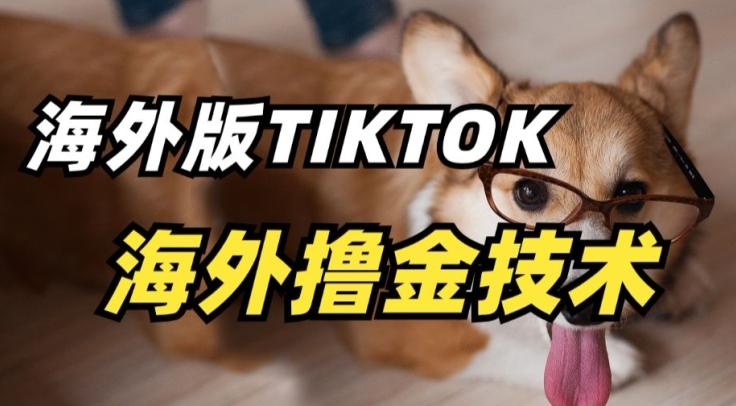 抖音海外版tiktok撸金技术，这个风口行业，赚钱真的不难【揭秘】-吾爱云课堂