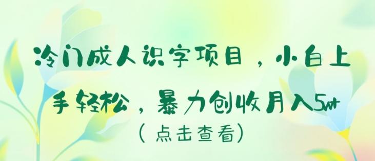 冷门成人识字项目,小白上手轻松,暴力创收月入5w+【揭秘】-吾爱云课堂