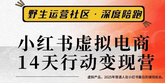 小红书虚拟电商14天变现训练营3.0,虚拟产品,2025年普通人在小红书最后的搞钱机会-吾爱云课堂