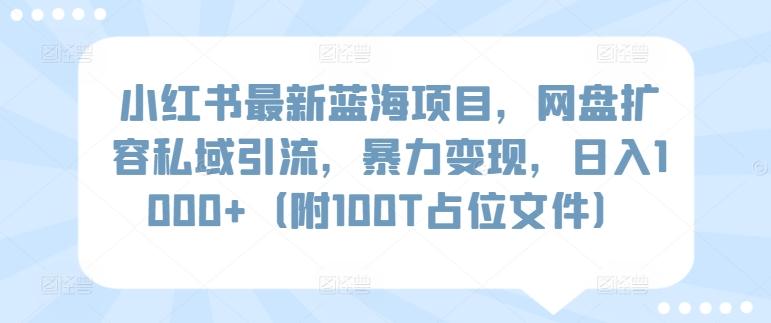 小红书最新蓝海项目，网盘扩容私域引流，暴力变现，日入1000+(附100T占位文件)【揭秘】-吾爱云课堂